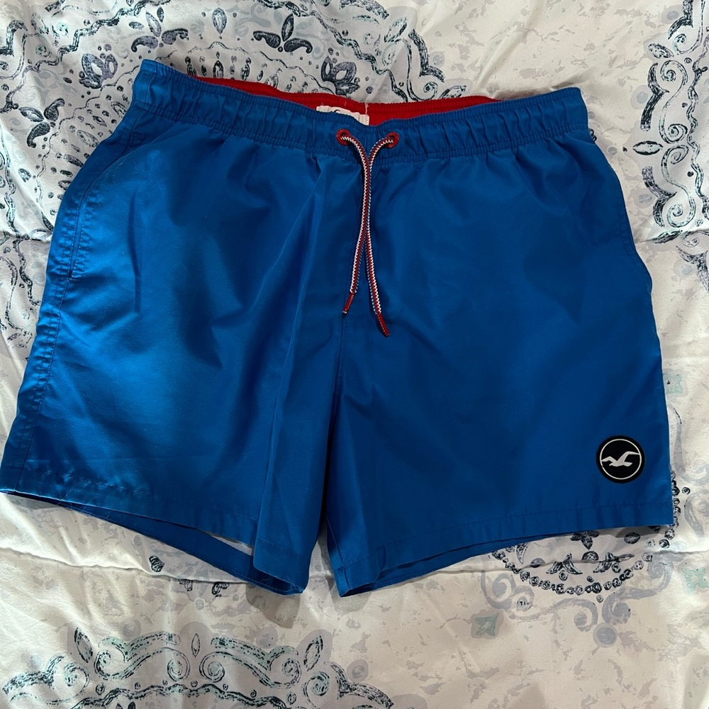 Mens Hollister Swim Trunks